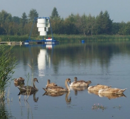 Zdjęcie - ZALEW KRAŚNICKI