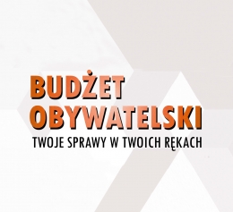 Zdjęcie - BUDŻET OBYWATELSKI