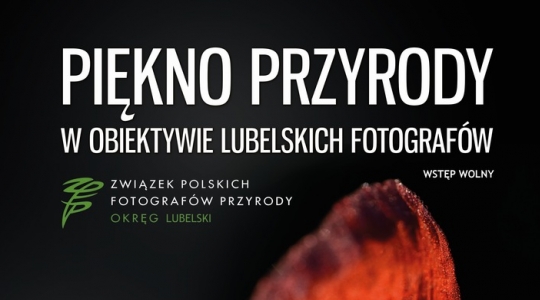 Zdjęcie - Wernisaż wystawy - Piękno przyrody