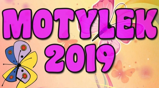 Zdjęcie - Motylek 2019