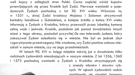 Zdjęcie 24 - Przewodnik po Kraśniku