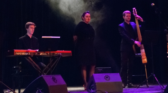 Zdjęcie 41 - X Kraśnickie Spotkania Teatralne