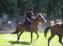 Zdjęcie 34 - Piknik historyczny w Parku im. św. Jana Pawła II