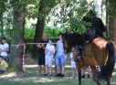 Zdjęcie 54 - Piknik historyczny w Parku im. św. Jana Pawła II