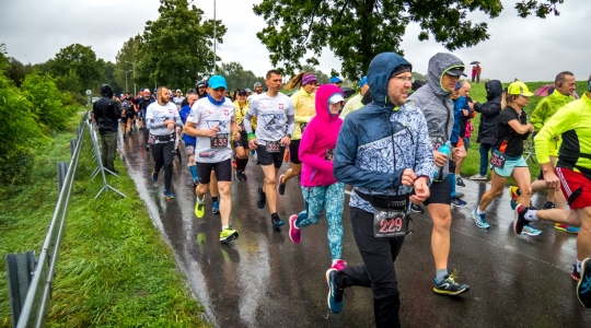 Zdjęcie 21 - V Kraśnik Półmaraton im. 24 Pułku Ułanów