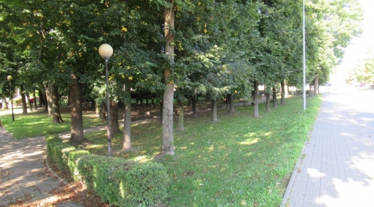 Zdjęcie 6 - Przebudowa ronda im. Żołnierzy Wyklętych w Kraśniku