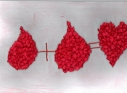 Zdjęcie 25 - Wyniki konkursu plastycznego "Twoja krew ratuje życie"