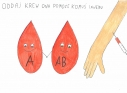 Zdjęcie 45 - Wyniki konkursu plastycznego "Twoja krew ratuje życie"