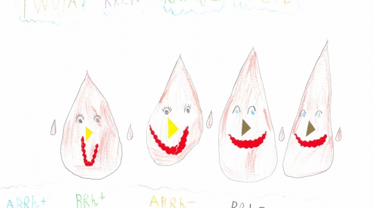 Zdjęcie 47 - Wyniki konkursu plastycznego "Twoja krew ratuje życie"