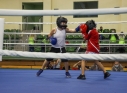 Zdjęcie 14 - I Mikołajkowy Turniej Boxing Cup 2020