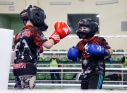 Zdjęcie 64 - I Mikołajkowy Turniej Boxing Cup 2020