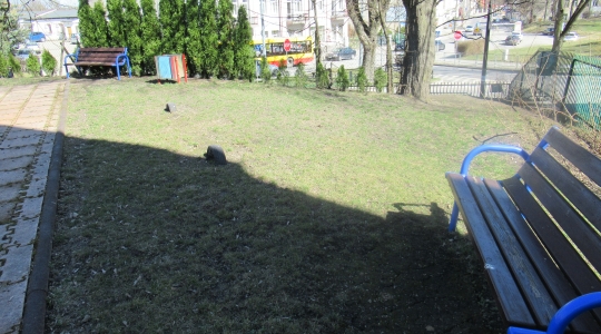 Zdjęcie 3 - Otwarta Strefa Aktywności – rewitalizacja placu zabaw przy Zespole Placówek Oświatowych nr 1 w Kraśniku