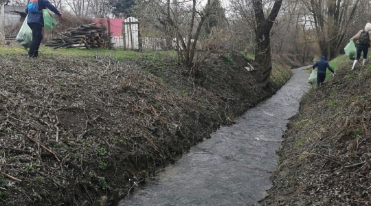 Zdjęcie 2 - Sprzątanie rzeki Wyżnicy na terenie Miasta Kraśnik - Operacja Czysta Rzeka