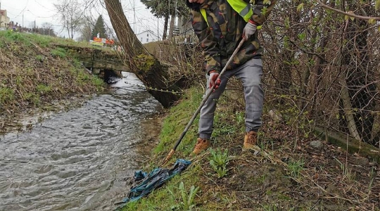 Zdjęcie 8 - Sprzątanie rzeki Wyżnicy na terenie Miasta Kraśnik - Operacja Czysta Rzeka