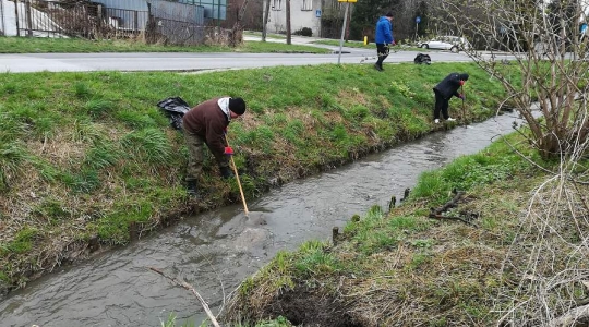 Zdjęcie 17 - Sprzątanie rzeki Wyżnicy na terenie Miasta Kraśnik - Operacja Czysta Rzeka