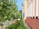 Zdjęcie 9 - Aleja Jabłoniowa - wiosna 2021