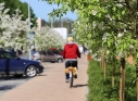 Zdjęcie 10 - Aleja Jabłoniowa - wiosna 2021