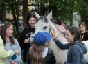 Zdjęcie 81 - Kraśnicki Dzień Dziecka 2021