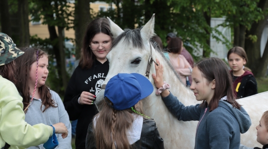 Zdjęcie 81 - Kraśnicki Dzień Dziecka 2021