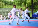Zdjęcie 8 - Puchar Małych Mistrzów w Karate Tradycyjnym