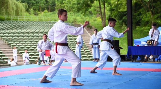 Zdjęcie 8 - Puchar Małych Mistrzów w Karate Tradycyjnym