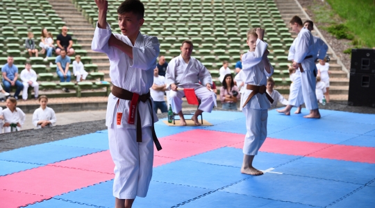 Zdjęcie 9 - Puchar Małych Mistrzów w Karate Tradycyjnym