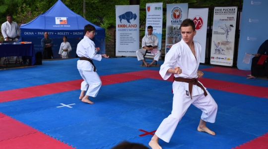 Zdjęcie 10 - Puchar Małych Mistrzów w Karate Tradycyjnym