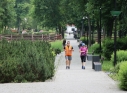 Zdjęcie 28 - Powrót cyklicznych biegów parkrun