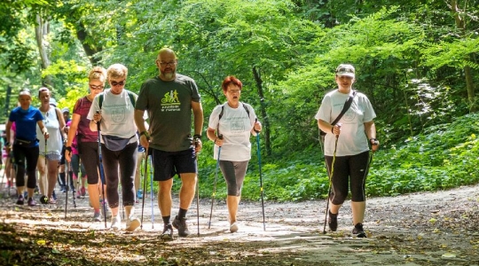 Zdjęcie 17 - I Kraśnicki Rajd Nordic Walking