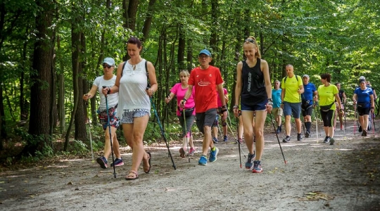 Zdjęcie 20 - I Kraśnicki Rajd Nordic Walking