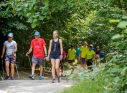Zdjęcie 24 - I Kraśnicki Rajd Nordic Walking