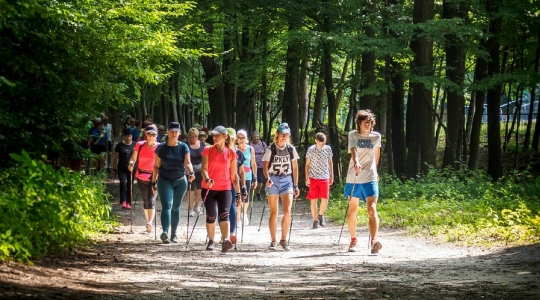Zdjęcie 43 - I Kraśnicki Rajd Nordic Walking