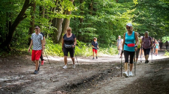 Zdjęcie 44 - I Kraśnicki Rajd Nordic Walking