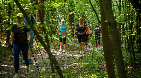 Zdjęcie 47 - I Kraśnicki Rajd Nordic Walking