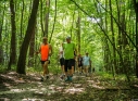 Zdjęcie 50 - I Kraśnicki Rajd Nordic Walking