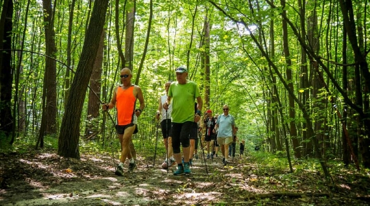 Zdjęcie 50 - I Kraśnicki Rajd Nordic Walking