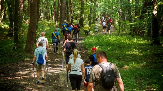 Zdjęcie 52 - I Kraśnicki Rajd Nordic Walking
