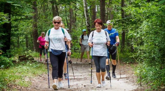 Zdjęcie 62 - I Kraśnicki Rajd Nordic Walking