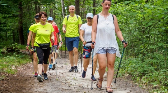 Zdjęcie 64 - I Kraśnicki Rajd Nordic Walking