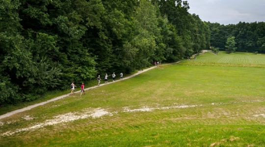 Zdjęcie 66 - I Kraśnicki Rajd Nordic Walking