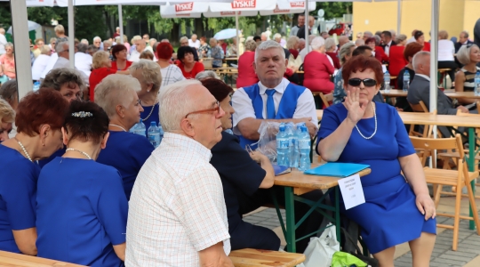 Zdjęcie 14 - XXI Wojewódzki Senior Fest