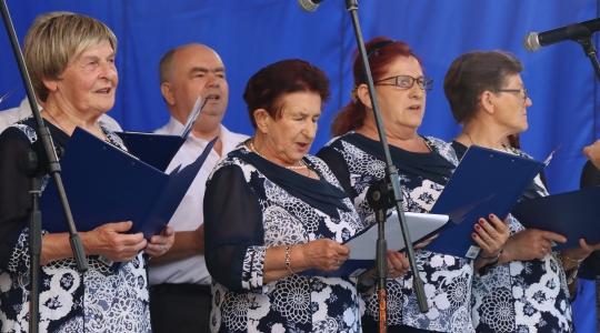 Zdjęcie 27 - XXI Wojewódzki Senior Fest