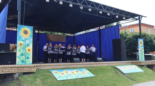 Zdjęcie 28 - XXI Wojewódzki Senior Fest