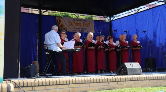 Zdjęcie 78 - XXI Wojewódzki Senior Fest