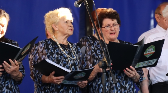 Zdjęcie 89 - XXI Wojewódzki Senior Fest