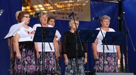 Zdjęcie 106 - XXI Wojewódzki Senior Fest