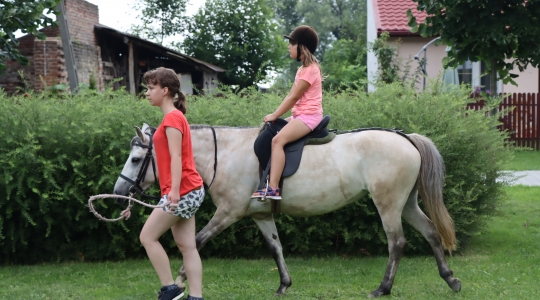 Zdjęcie 116 - Święto Patronki Miasta