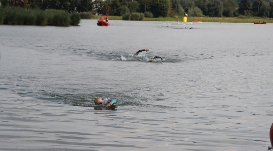 Zdjęcie 43 - Triathlon Kraśnik 2021