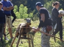Zdjęcie 52 - III Turniej Łuczniczy O Puchar Burmistrza Miasta Kraśnik " Na Zamkowym Wzgórzu"