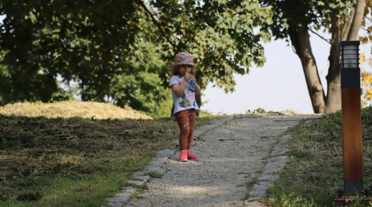 Zdjęcie 159 - III Turniej Łuczniczy O Puchar Burmistrza Miasta Kraśnik " Na Zamkowym Wzgórzu"